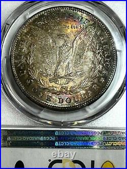 1878 Morgan Dollar gem toning on this beautiful coin certified by NGC MS 64