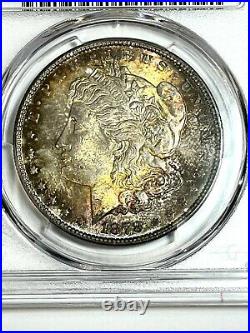 1878 Morgan Dollar gem toning on this beautiful coin certified by NGC MS 64