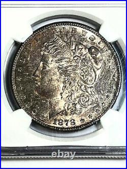 1878 S Morgan Dollar gem toning on this beautiful coin certified by NGC