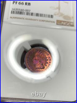 1880 1C PF66 RB NGC Toned Indian Head Cent Beautiful Coin Colorful Toning GEM BU