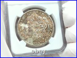 1880-S NGC MS64 Morgan Silver Dollar Beautiful, Unique Toning, Great Coin! 008