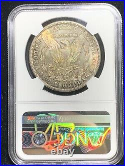 1880-s Morgan Silver Dollar Coin Ngc Ms64 Pq Massive Toner Beautiful