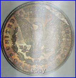 1884-O Morgan Silver Dollar $1 Coin NGC MS-65 Beautifully Toned Gem (Ta)