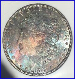 1887 Morgan Silver Dollar NGC MS 64 Rainbow Color Toned Beautiful Estate Coin