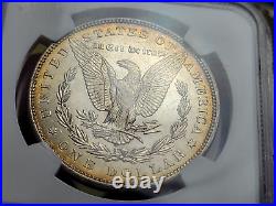 1887-P Morgan Silver Dollar NGC MS63 Monster Toned Beautiful Coin