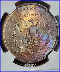 1889 P Morgan Silver Dollar Us Coin NGC Unc details artifical TONED BEAUTY T5334