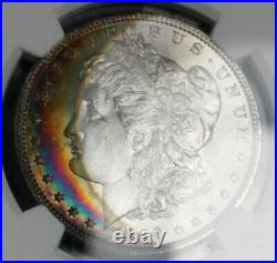 1896 Morgan Silver Dollar Beautiful TONED Collector Coin NGC CAC MS 64