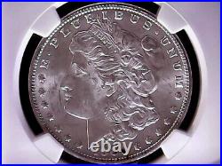1900 Morgan Silver Dollar S$1 Ngc Ms64 Beautiful Authenticated Graded Coin