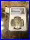 1982_Silver_Mexican_Libertad_NGC_MS64_Star_Beautiful_Toning_01_fra