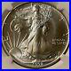 1992_Silver_American_Eagle_Dollar_NGC_MS_69_Excellent_Luster_A_Real_Beauty_01_qkpd