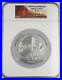 2010_P_Grand_Canyon_America_the_Beautiful_5_oz_Silver_Coin_SP70_NGC_Burnished_01_lrr