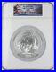 2010_P_Yellowstone_America_the_Beautiful_5_Oz_Silver_Coin_SP70_NGC_Early_Release_01_cn
