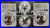 A_Very_Special_Silver_Eagle_Set_The_2021_Reverse_Proof_Silver_Eagle_2_Coin_Set_01_vc