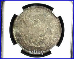 HS&C 1891 Morgan Dollar NGC MS64 Beautiful toning US Coin