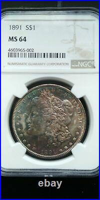 HS&C 1891 Morgan Dollar NGC MS64 Beautiful toning US Coin