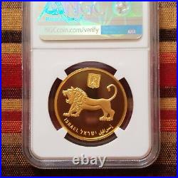 Israel 1 oz gold coin 2011 Western Wall MS 69 BOX & COA Beautiful